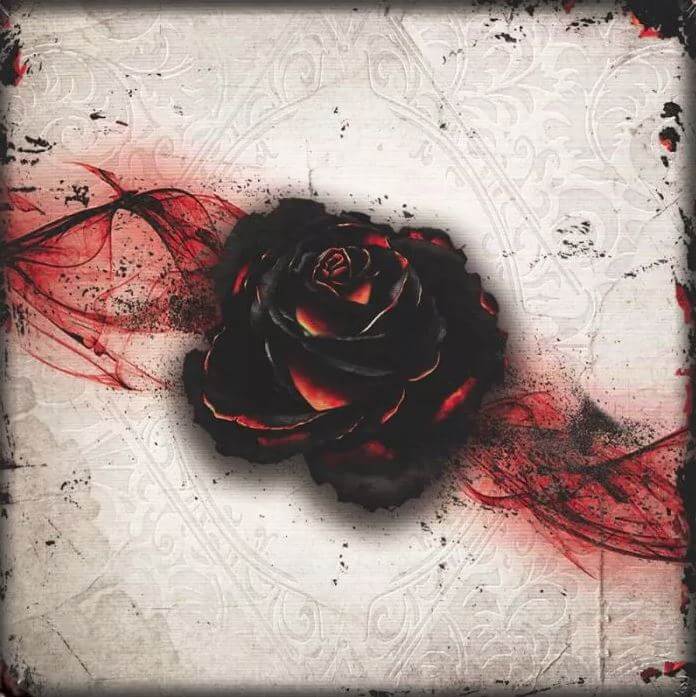 Black Rose Wars